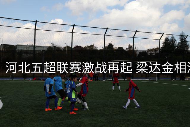 河北五超联赛激战再起 梁达金相润现身辛集主场助威
