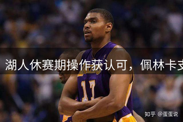 湖人休赛期操作获认可，佩林卡支持率飙升仅5%球迷不满