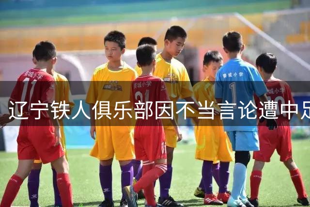 辽宁铁人俱乐部因不当言论遭中足联处罚